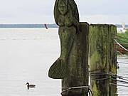 Kleine Fischländer Wettfahrt  25.07.2009