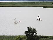 Kleine Fischländer Wettfahrt  25.07.2009