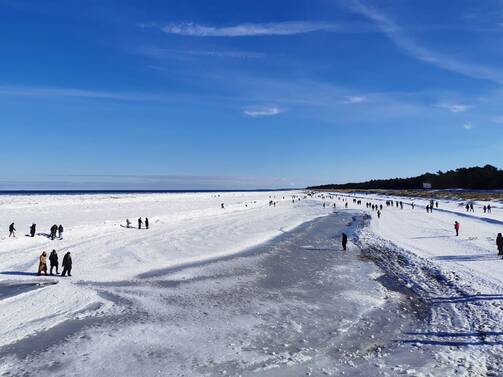 Winter 2026 - Blick von der Seebrücke Prerow