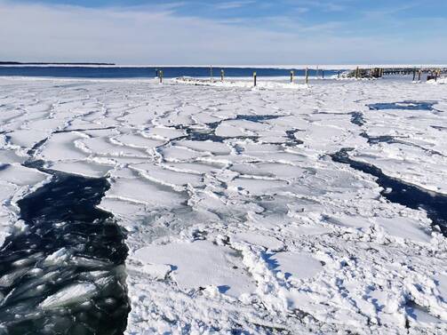 Winter 2026 - Seebrücke Prerow