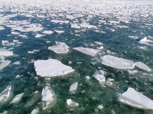 Winter 2026 - Seebrücke Prerow