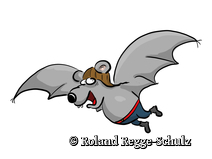  Ellerbeck Prerow  Strandübergang 33