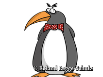  Ortsübergang Prerow  Strandübergang 43