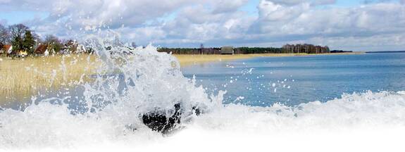 Bodden - Born a. Darß