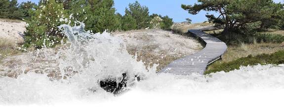 Rundwanderweg Darßer Ort