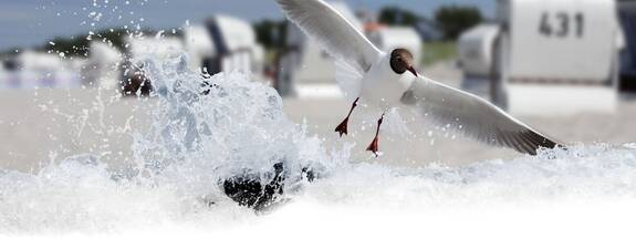 Regionale Produkte & Anbieter