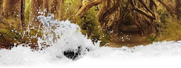 Geschichten, Märchen & Sagen