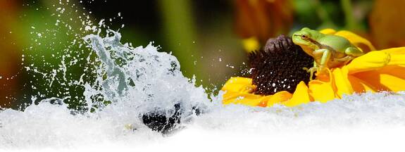 Fischland-Darß-Zingst Kalender