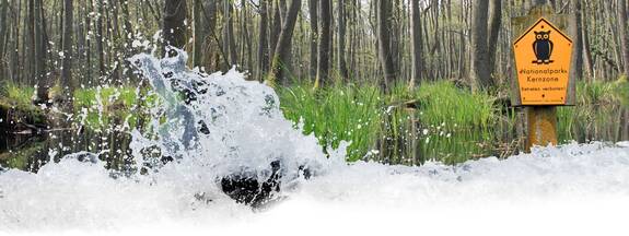 Nationalpark Kernzone