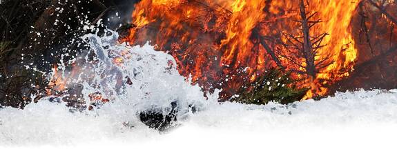 Tannenbaumverbrennen