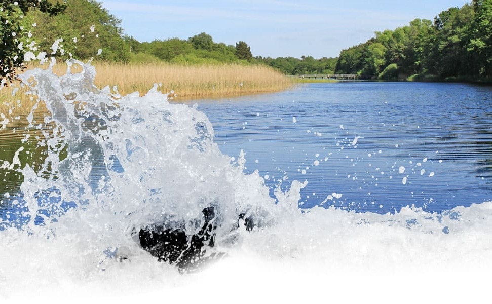 Ferienwohnungen Prerow