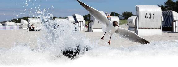 Ostseebad Prerow - Strand
