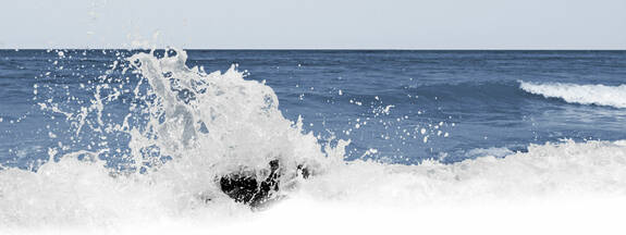 Tilsche Schellwegen - die Hexe vom Fischland