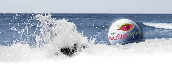 Darßer NaturfilmFestival Wieck a. Darß