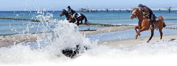Fischländer Strandgalopprennen