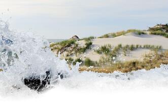 Unterkünfte: Ferienwohnungen Zingst, Ferienhaus Zingst