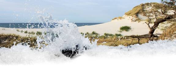 Sturmflutschutz - Düne Ostzingst