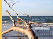 Darßer Weststrand Fischland-Darß-Zingst