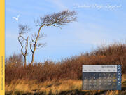 Darßer Weststrand Fischland-Darß-Zingst