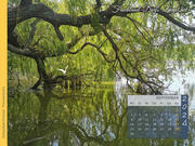 Prerowstrom. Ostseebad Prerow