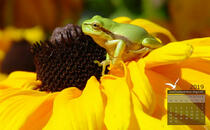 Festsaal im Born AQua