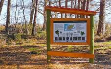 Ostsee Staffelmarathon