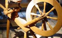 Mit Hund in Museen Mecklenburg-Vorpommern.