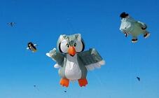 Prerower Drachenfest