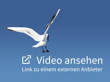 Video ansehen