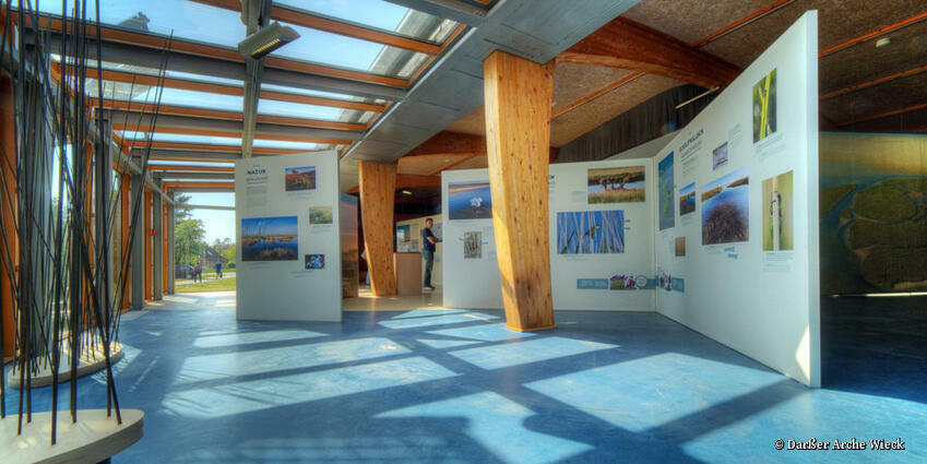 Ausstellungsraum in der Darßer Arche Wieck