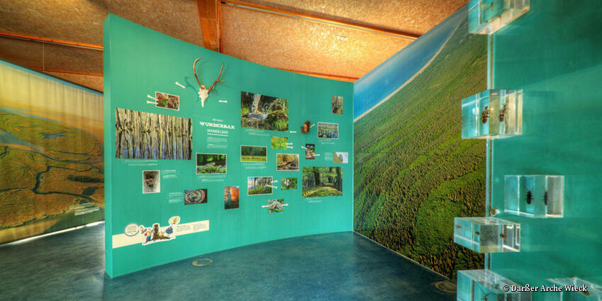 Ausstellungsraum in der Darßer Arche Wieck