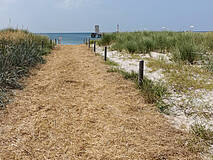 Ostseebad Wustrow am DLRG-Turm - Strandzugang 5