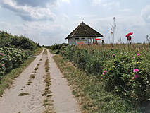 Ostseebad Wustrow - Weg zum Strandzugang 5