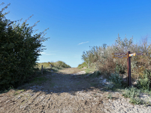   Wustrow  Strandübergang 10