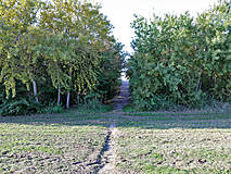 Strandübergänge Wustrow - Strandübergang
