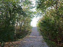 Strandübergänge Wustrow - Strandübergang
