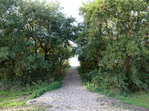   Wustrow  Strandübergang 19