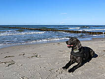 Strandübergänge Wustrow - Strandübergang