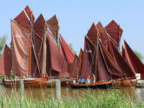 Zeesenbootregatta Ostseebad Wustrow