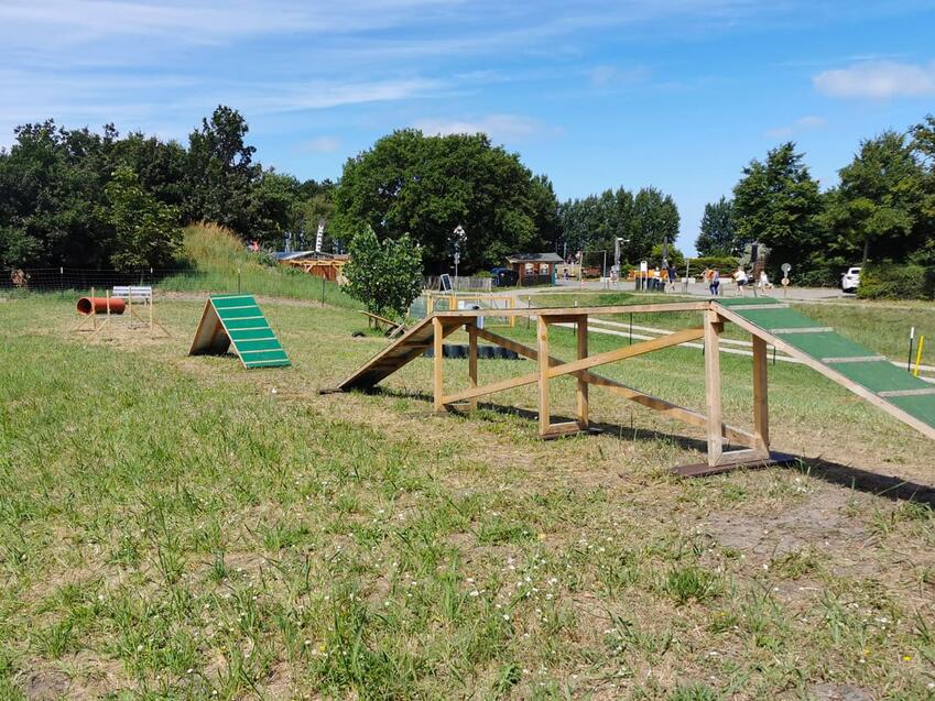 Hundeauslauf Hundespielplatz Zingst