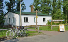 Ausstellung Lebensräume Sundische Wiese