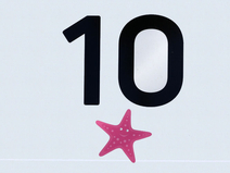   Zingst  Strandübergang 10