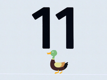   Zingst  Strandübergang 11