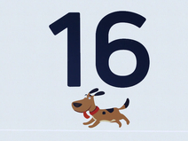   Zingst  Strandübergang 16