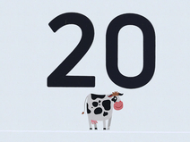   Zingst  Strandübergang 20