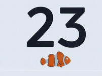 Fisch / Clownfisch