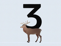   Zingst  Strandübergang 3