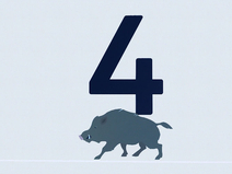   Zingst  Strandübergang 4