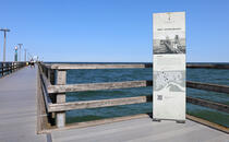 (1) Zingst gestern und heute - Seebrücke