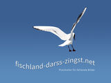 Platzhalter